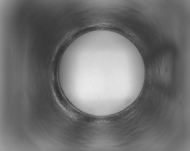 X0000070360734200606090759