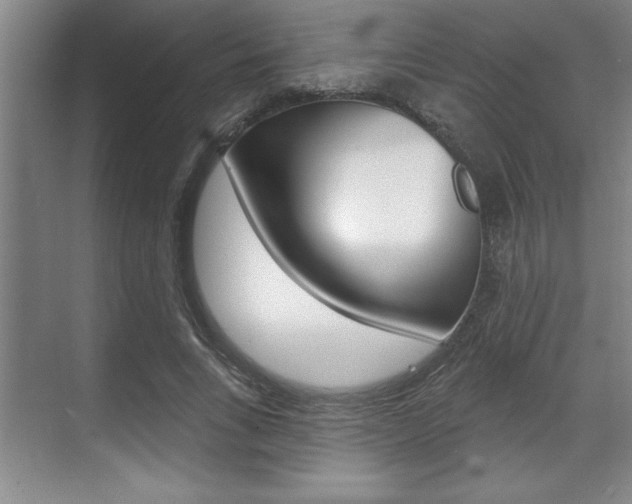 X0000070360735200606090759