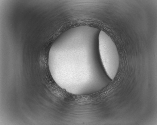 X0000070360772200606090759