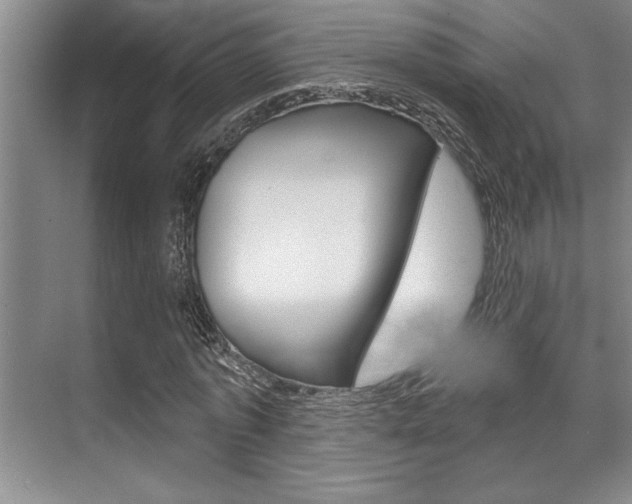 X0000070360773200606090759