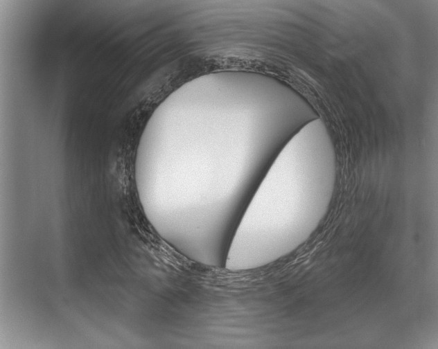 X0000070360774200606090759