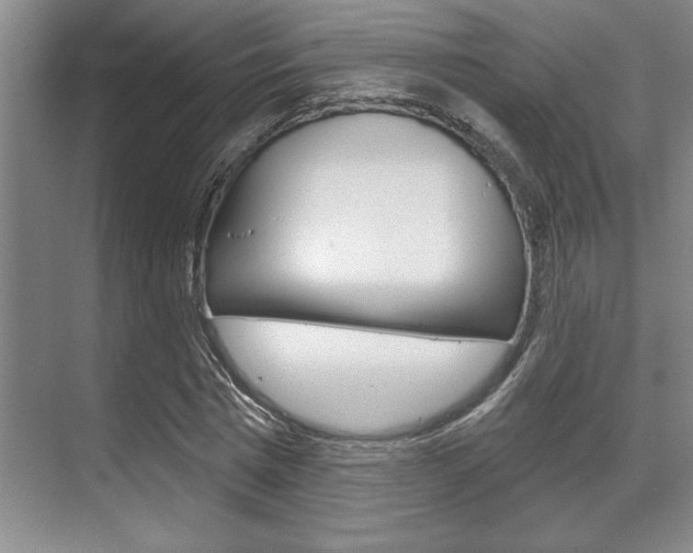 X0000070360777200606090759
