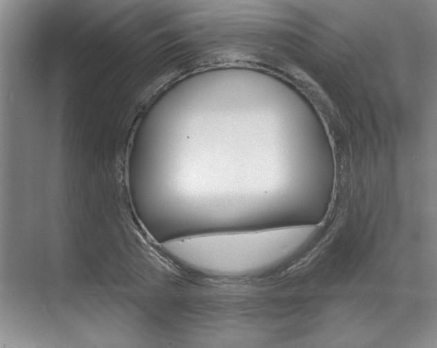 X0000070360785200606090759