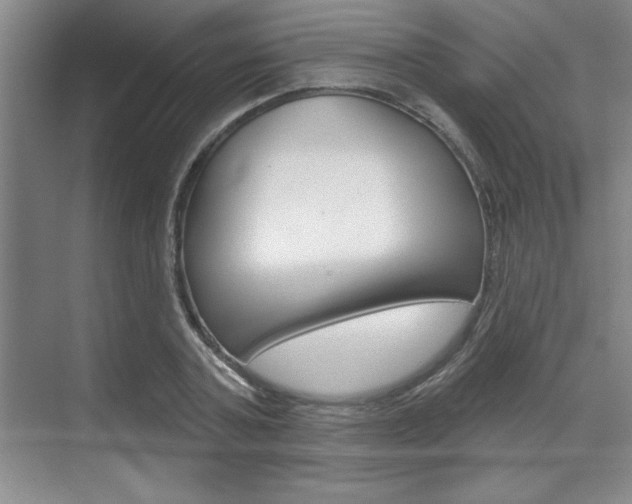 X0000070360787200606090759