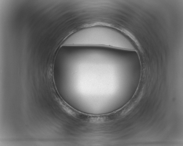 X0000070360793200606090758