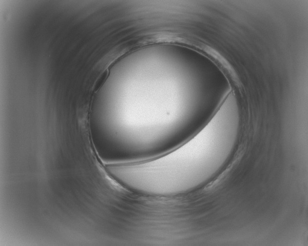 X0000070360801200606090758