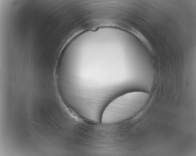 X0000070360806200606090758