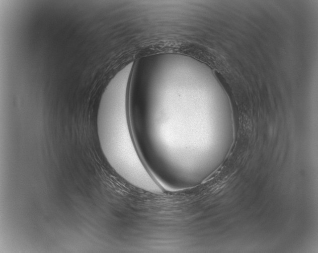 X0000070360818200606090757