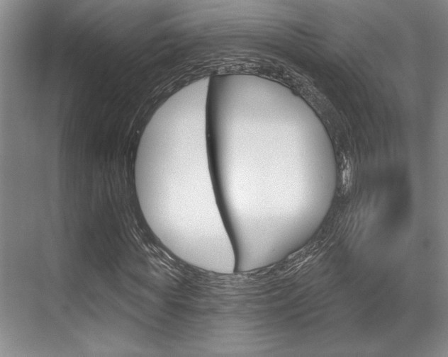 X0000070360819200606090757