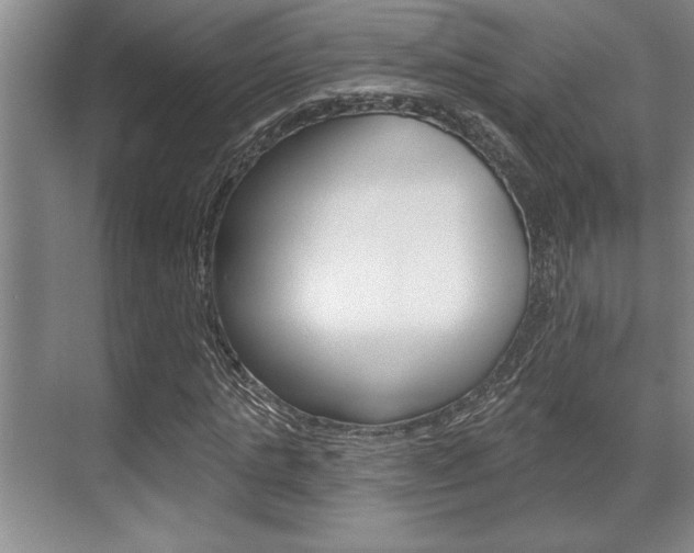 X0000070360821200606090757