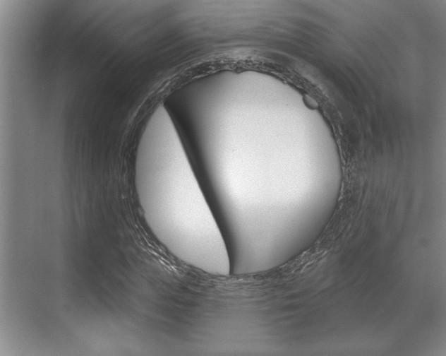 X0000070360823200606090757