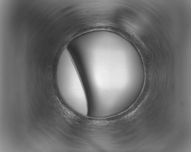 X0000070360825200606090757