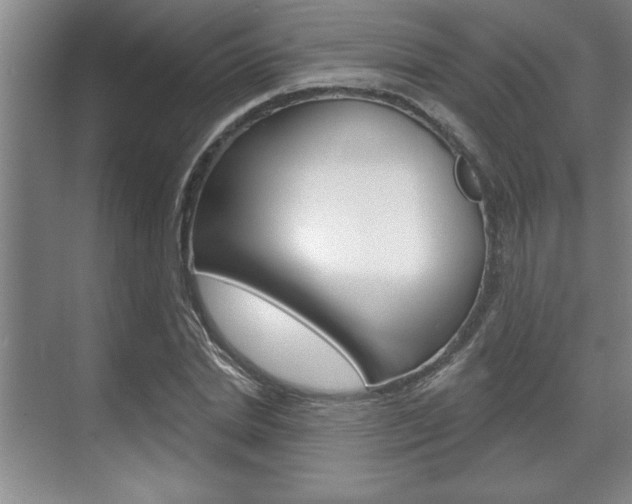 X0000070360830200606090757