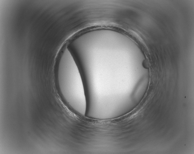 X0000070360831200606090757