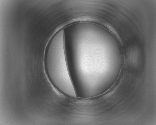 X0000070360845200606090758