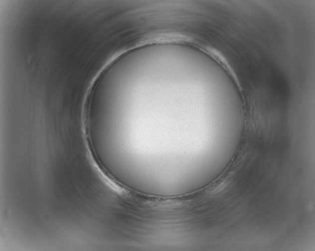 X0000070360851200606090758