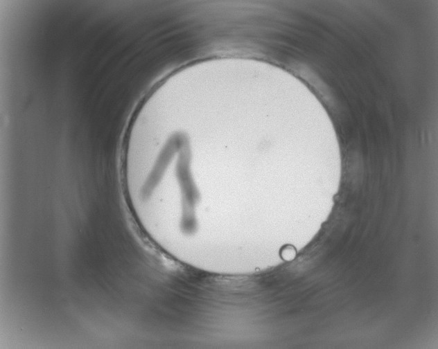 X0000070360856200606090758