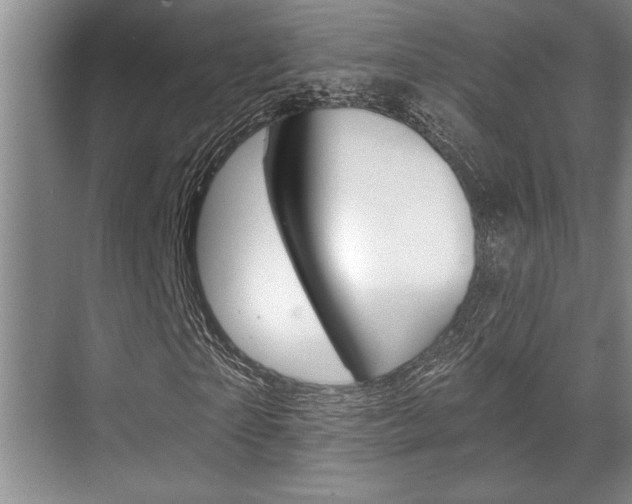 X0000070360865200606090757
