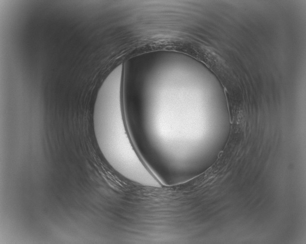 X0000070360868200606090757