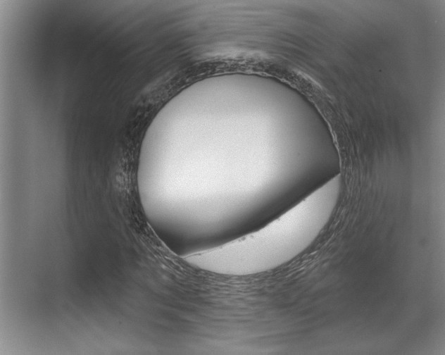 X0000070360869200606090757