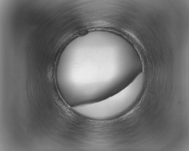 X0000070360873200606090757