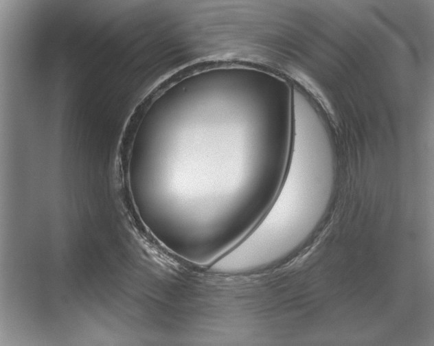 X0000070360876200606090757