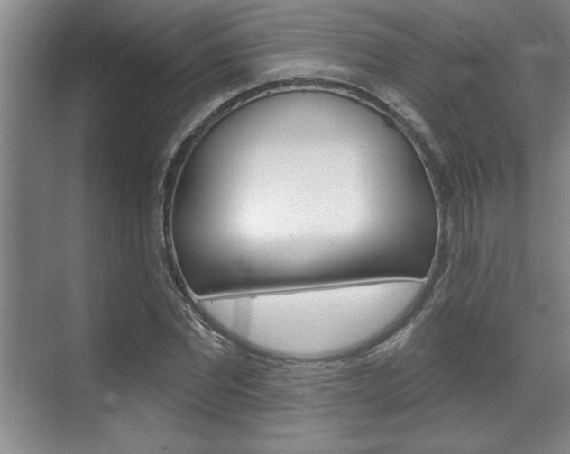 X0000070360877200606090757