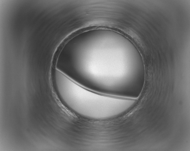 X0000070360880200606090757
