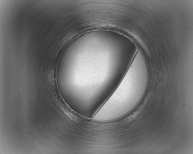 X0000070360881200606090757