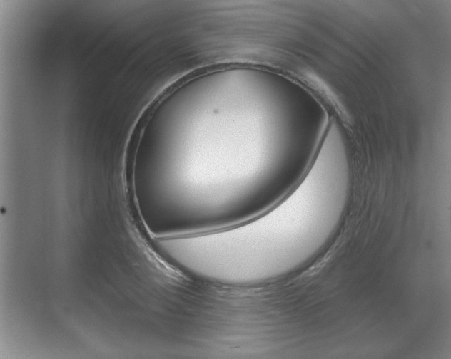 X0000070360884200606090757