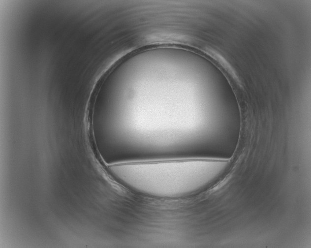 X0000070360885200606090757