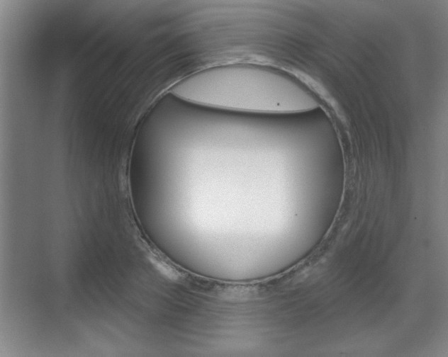 X0000070360889200606090757