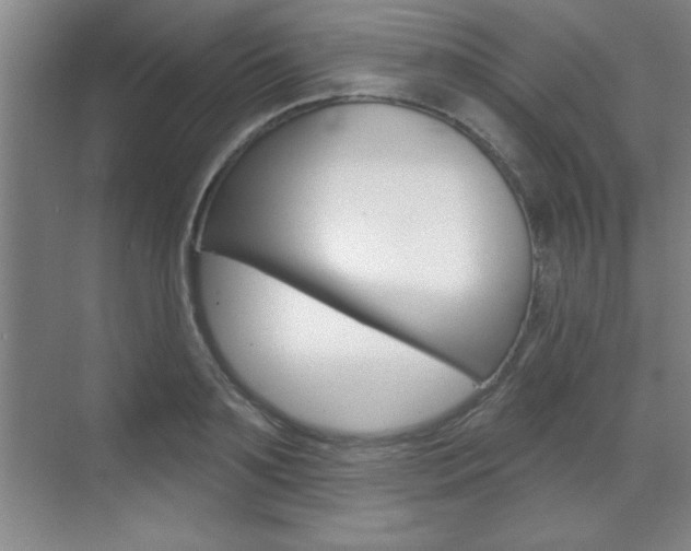 X0000070360891200606090757