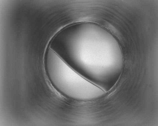 X0000070360892200606090757