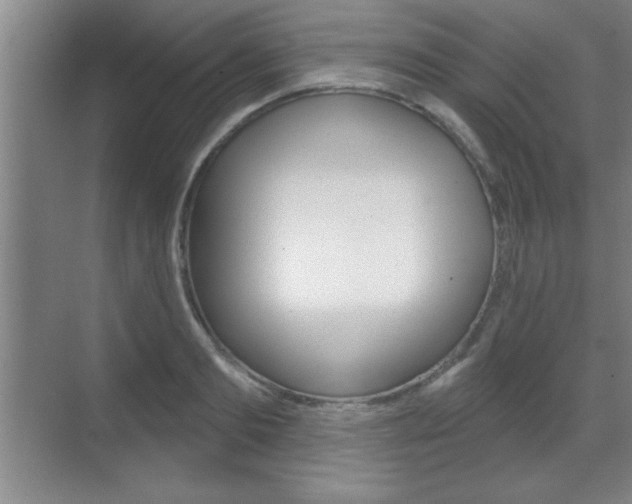 X0000070360893200606090757