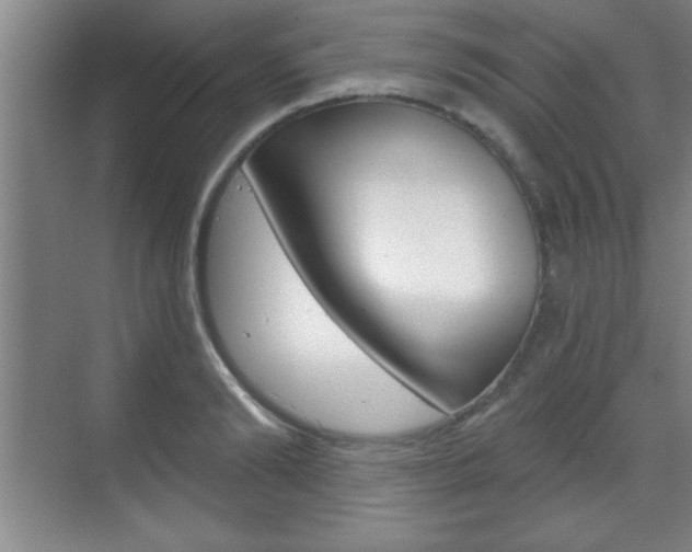 X0000070360894200606090757