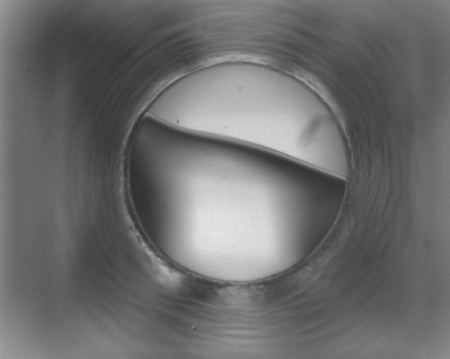 X0000070360898200606090757