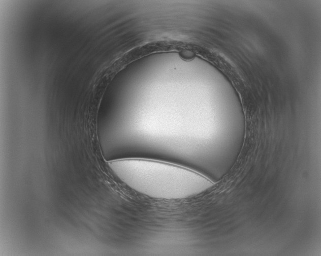 X0000070360919200606090756