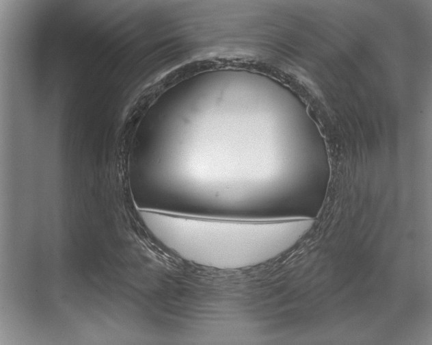 X0000070360920200606090756
