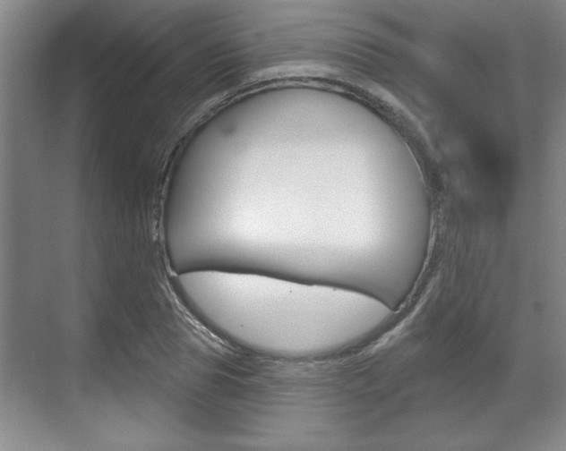 X0000070360929200606090756