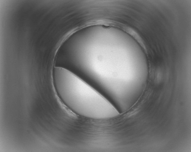 X0000070360954200606090756