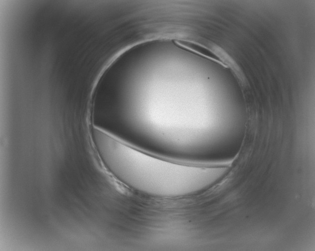 X0000070360956200606090756