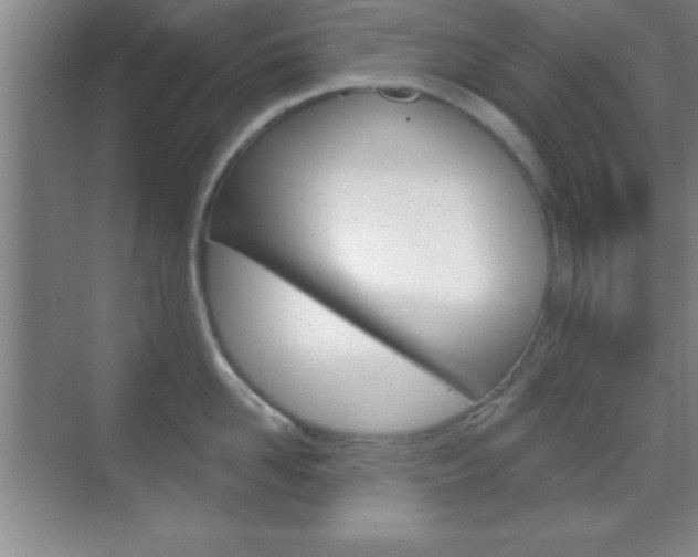 X0000070360958200606090756