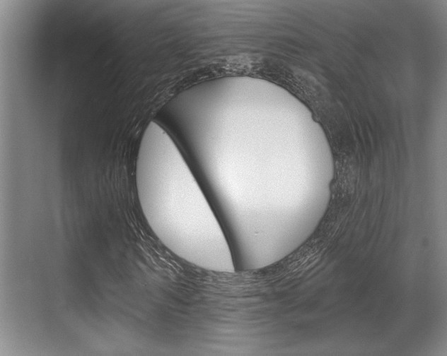 X0000070360962200606090756