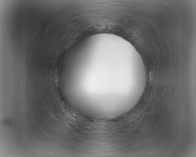 X0000070360963200606090756