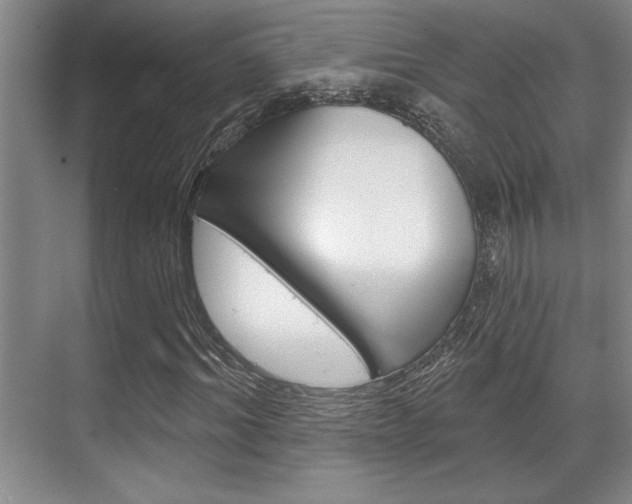X0000070360964200606090756