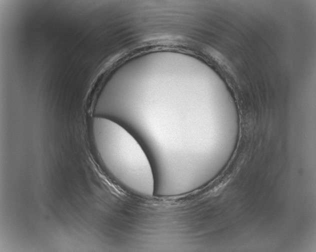 X0000070360970200606090755