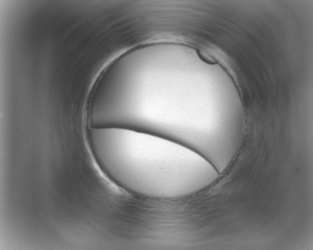 X0000070361003200606090755