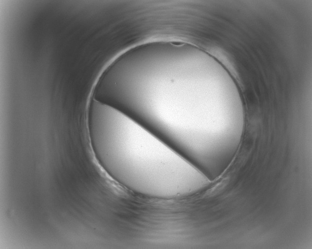 X0000070361004200606090755