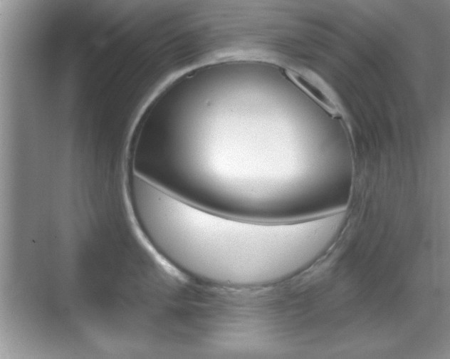 X0000070361005200606090755